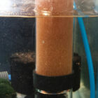 Brine Shrimp Hatchery