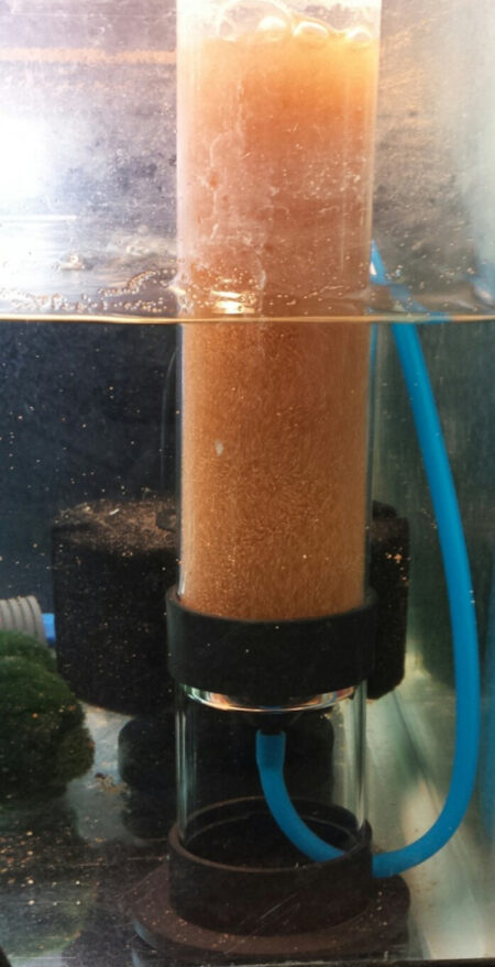 Brine Shrimp Hatchery