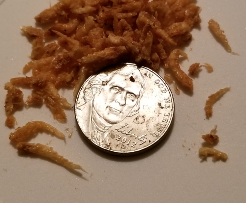 Freeze Dried Pacific Krill