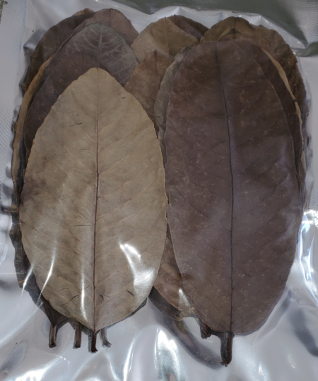 Guava Leaves