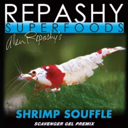 Shrimp Souffle