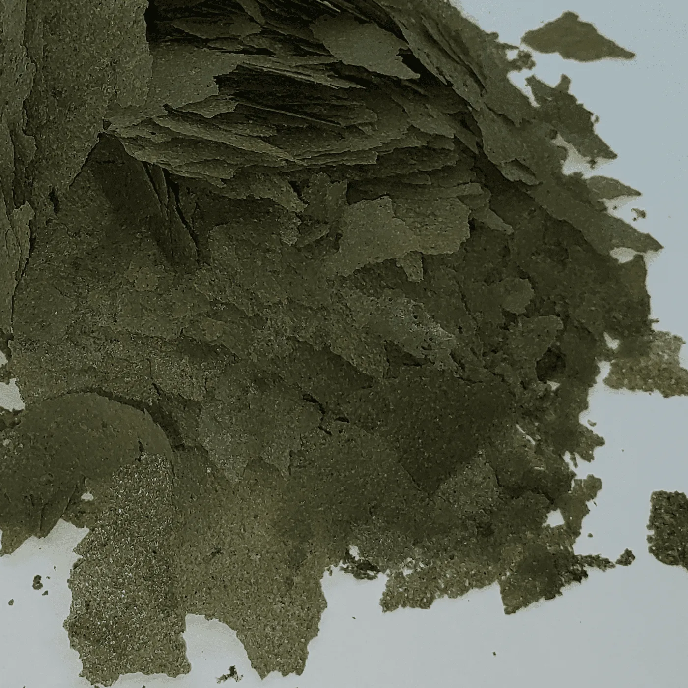 Spirulina Flake for herbivores and omnivores, offering high nutrition and health benefits.