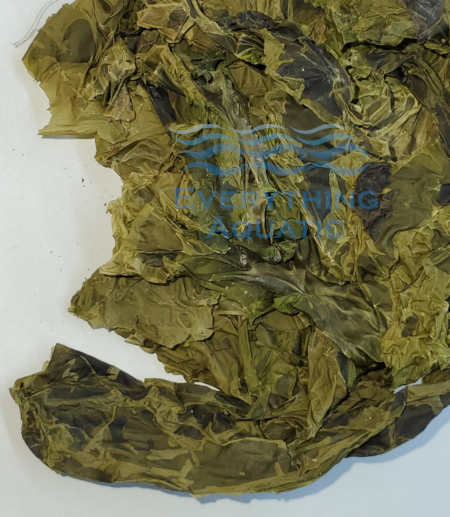 Dried Sea Lettuce