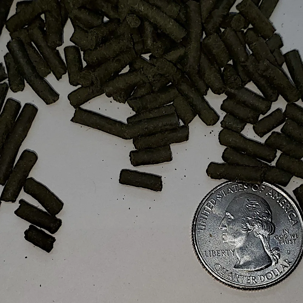 Spirulina Sticks - Image 2