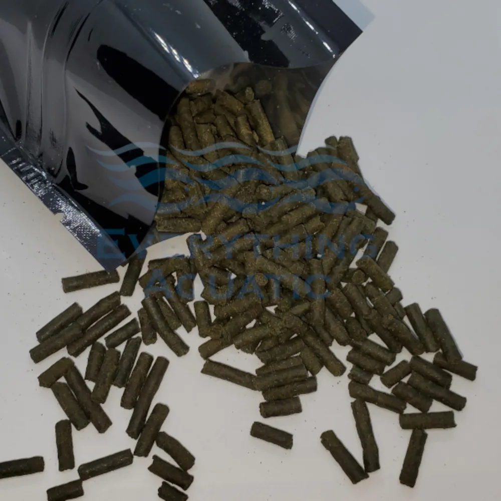 Spirulina Sticks