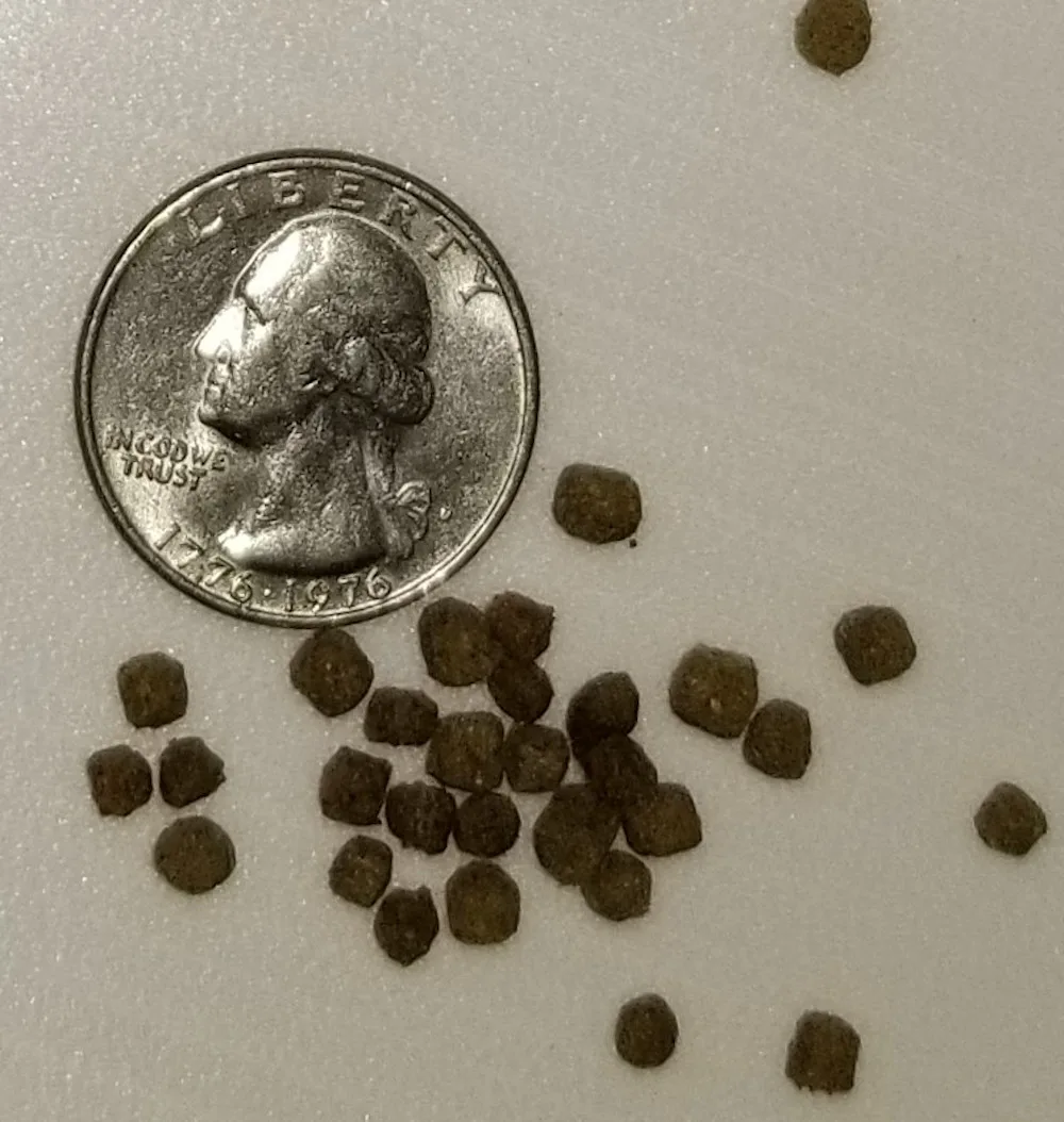 Balanced Cichlid Floating Pellet - Image 2