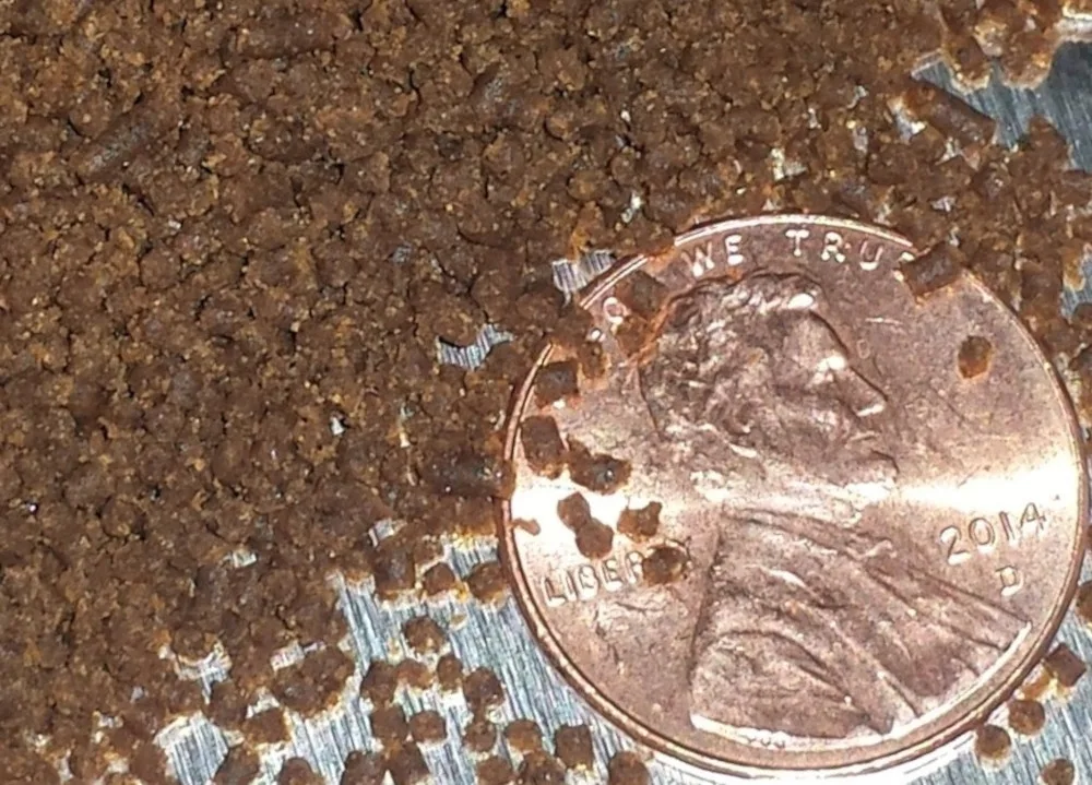 Discus Pellet