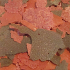 Gourmet Feast Flake