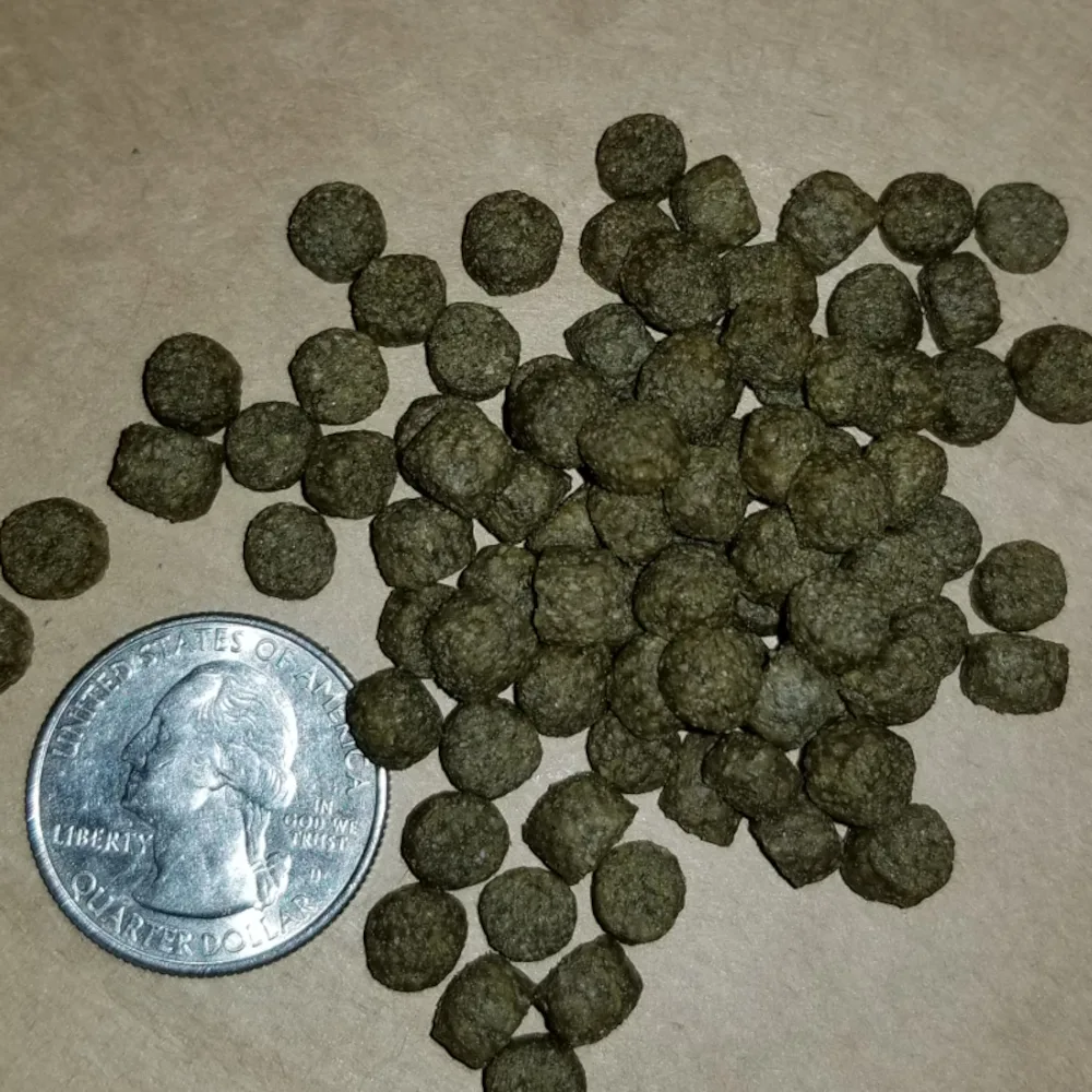 Koi Floating 5.5mm Pellets