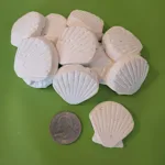 Calcium Shell Feeders