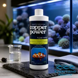 Spirulina Wafers are great for feeding shrimp and bottom feeders who don't need a high protein diet.