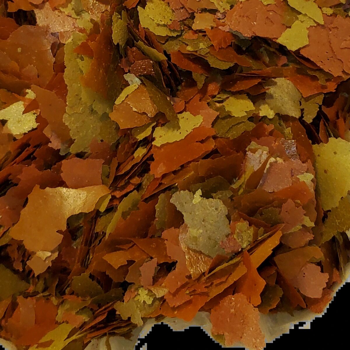 Guppy Flake with more protein, amino acids plus vitamins and minerals for a balanced staple diet