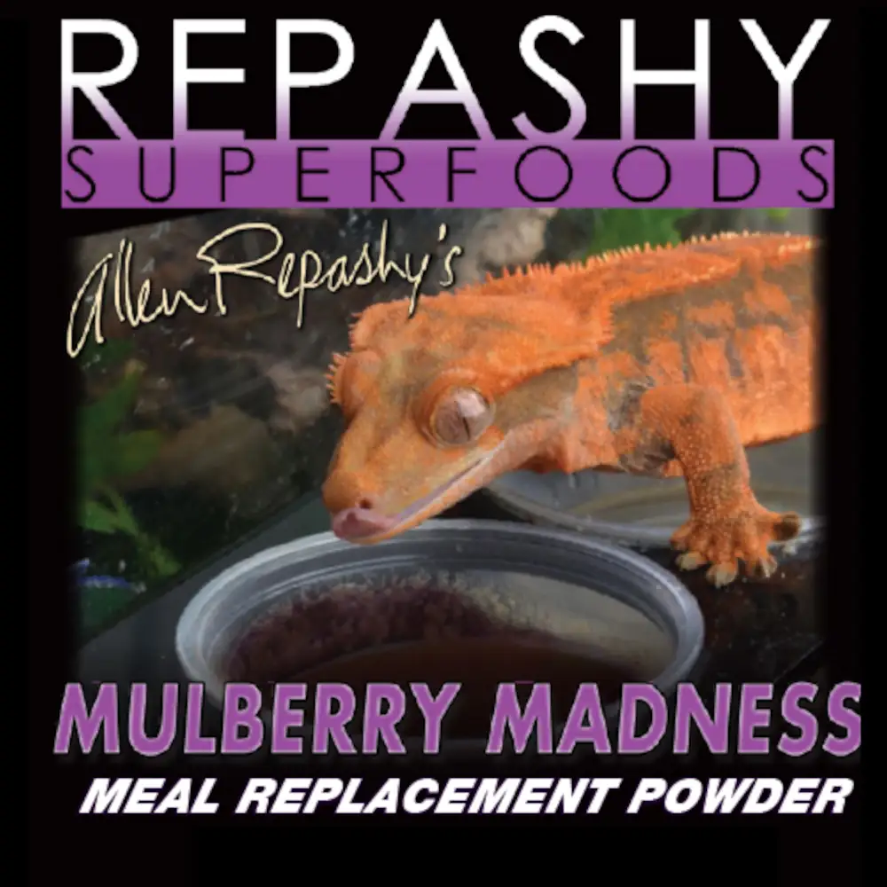 Seasonal Summer formula, Repashy Mulberry Madness