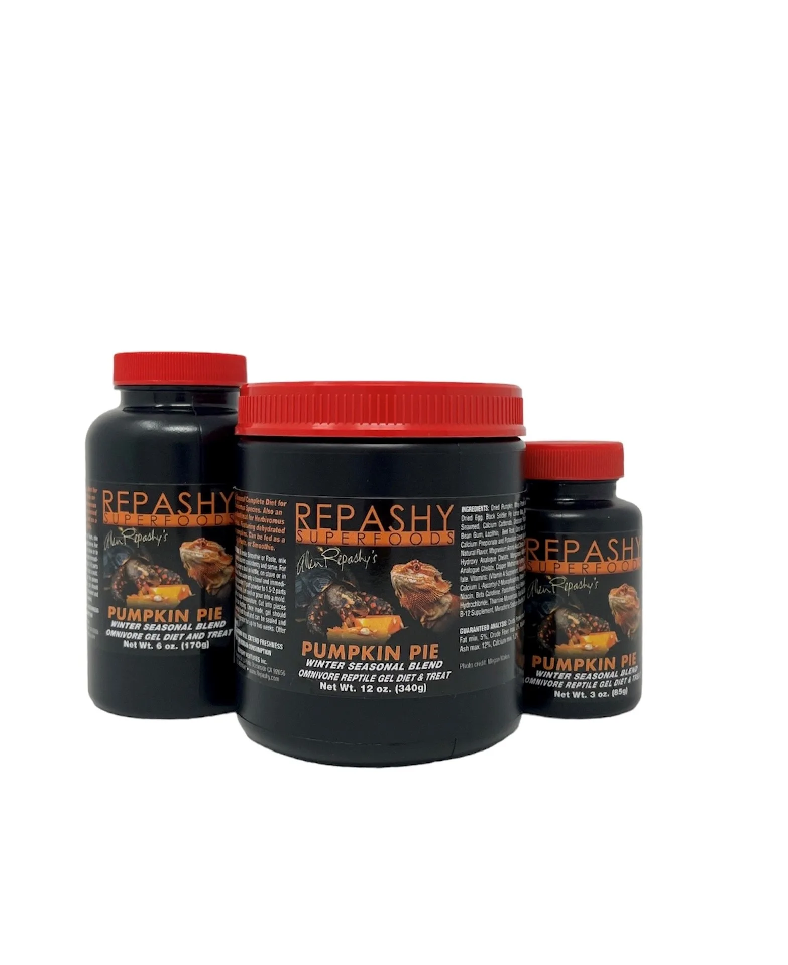 Repashy Pumpkin Pie - Image 2