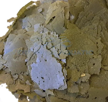 Spirulina Flake - Image 2
