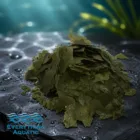 Spirulina Flake loaded with nutrition and offering health benefits
